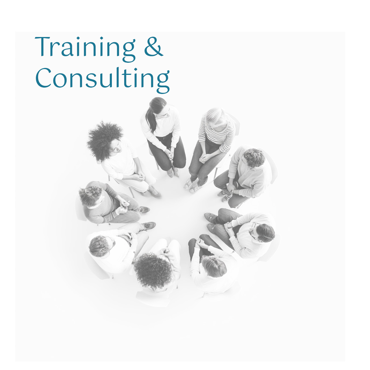 training_consulting2